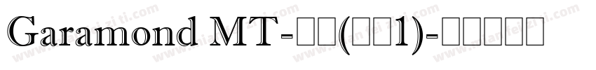 Garamond MT-粗体(类型1)字体转换